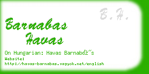 barnabas havas business card